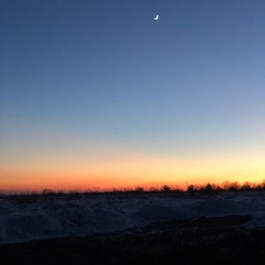 Meet your Posher, Arlene